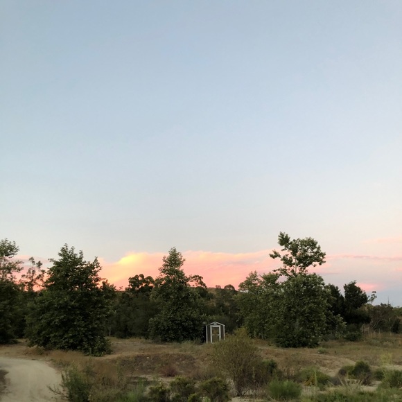 Meet your Posher, Amy - Picture 1 of 1